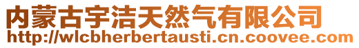 内蒙古宇洁天然气有限公司