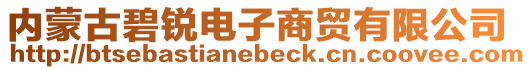 内蒙古碧锐电子商贸有限公司