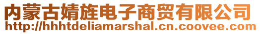 内蒙古婧旌电子商贸有限公司