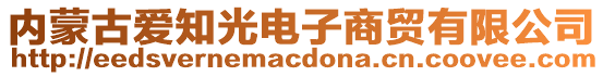 内蒙古爱知光电子商贸有限公司