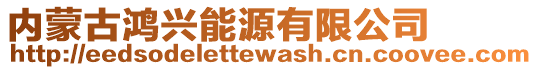 内蒙古鸿兴能源有限公司