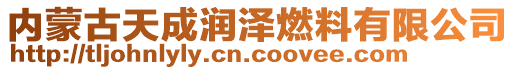 內(nèi)蒙古天成潤澤燃料有限公司