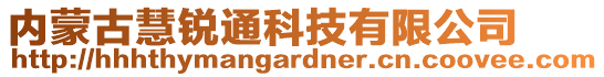 内蒙古慧锐通科技有限公司