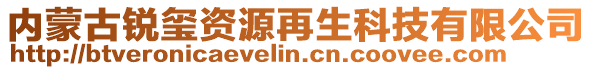 内蒙古锐玺资源再生科技有限公司