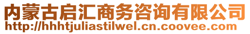 內(nèi)蒙古啟匯商務(wù)咨詢有限公司