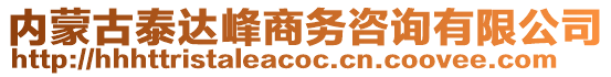 內(nèi)蒙古泰達峰商務(wù)咨詢有限公司