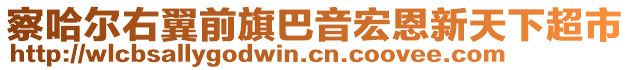 察哈爾右翼前旗巴音宏恩新天下超市