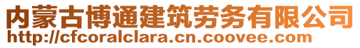 內(nèi)蒙古博通建筑勞務(wù)有限公司