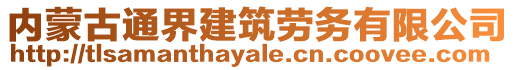 內(nèi)蒙古通界建筑勞務(wù)有限公司