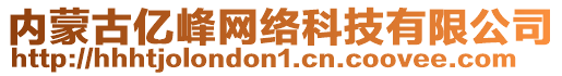 內蒙古億峰網絡科技有限公司