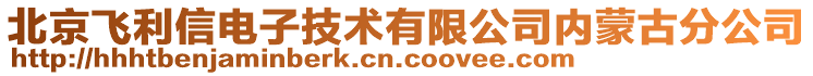 北京飛利信電子技術有限公司內蒙古分公司