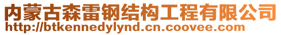 內(nèi)蒙古森雷鋼結(jié)構(gòu)工程有限公司