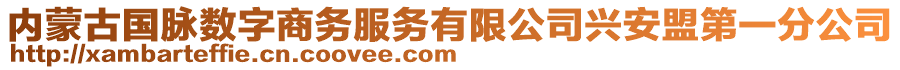 內(nèi)蒙古國(guó)脈數(shù)字商務(wù)服務(wù)有限公司興安盟第一分公司