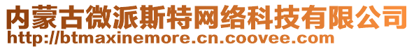 內(nèi)蒙古微派斯特網(wǎng)絡(luò)科技有限公司