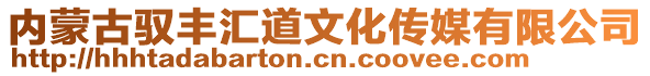 內(nèi)蒙古馭豐匯道文化傳媒有限公司