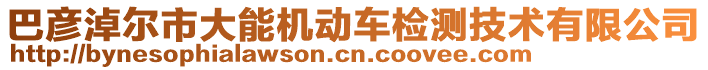 巴彥淖爾市大能機(jī)動車檢測技術(shù)有限公司