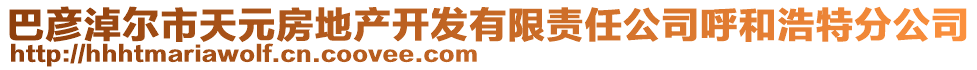 巴彥淖爾市天元房地產(chǎn)開發(fā)有限責(zé)任公司呼和浩特分公司