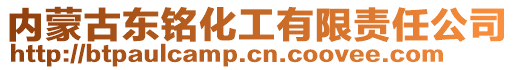 內(nèi)蒙古東銘化工有限責(zé)任公司