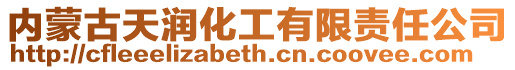 內(nèi)蒙古天潤化工有限責(zé)任公司