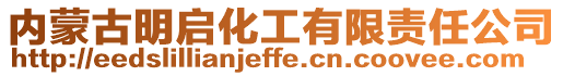 內(nèi)蒙古明啟化工有限責(zé)任公司