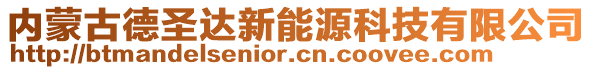 內(nèi)蒙古德圣達(dá)新能源科技有限公司