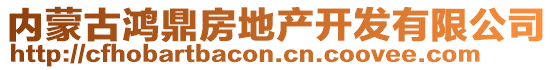 內(nèi)蒙古鴻鼎房地產(chǎn)開發(fā)有限公司