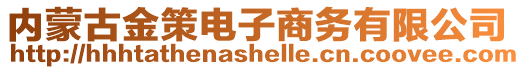 內(nèi)蒙古金策電子商務(wù)有限公司