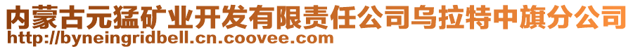 內(nèi)蒙古元猛礦業(yè)開發(fā)有限責任公司烏拉特中旗分公司