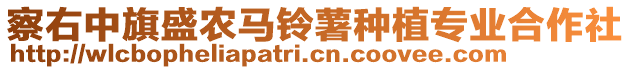 察右中旗盛農(nóng)馬鈴薯種植專業(yè)合作社