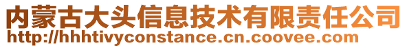 內(nèi)蒙古大頭信息技術(shù)有限責(zé)任公司