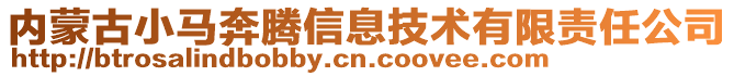 內(nèi)蒙古小馬奔騰信息技術有限責任公司