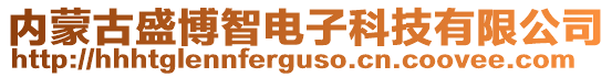 内蒙古盛博智电子科技有限公司