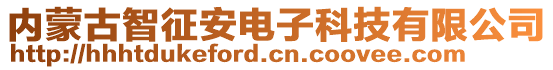 內(nèi)蒙古智征安電子科技有限公司