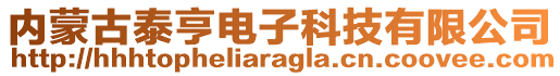 內(nèi)蒙古泰亨電子科技有限公司