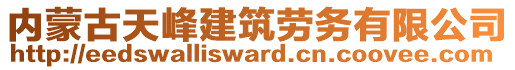 內(nèi)蒙古天峰建筑勞務有限公司