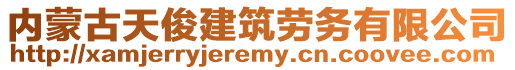 內(nèi)蒙古天俊建筑勞務有限公司