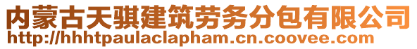 內(nèi)蒙古天騏建筑勞務(wù)分包有限公司