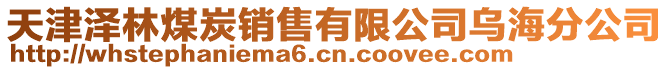 天津澤林煤炭銷(xiāo)售有限公司烏海分公司