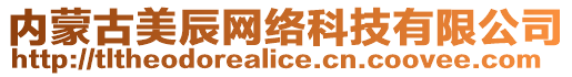 內(nèi)蒙古美辰網(wǎng)絡(luò)科技有限公司