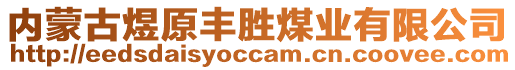 內(nèi)蒙古煜原豐勝煤業(yè)有限公司