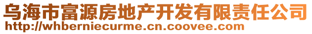 烏海市富源房地產(chǎn)開發(fā)有限責(zé)任公司