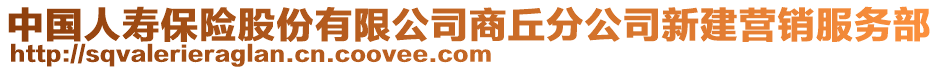 中國(guó)人壽保險(xiǎn)股份有限公司商丘分公司新建營(yíng)銷服務(wù)部