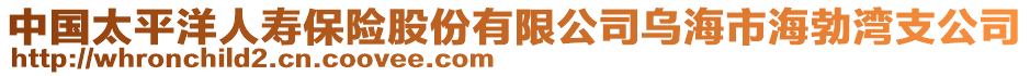 中國太平洋人壽保險股份有限公司烏海市海勃灣支公司