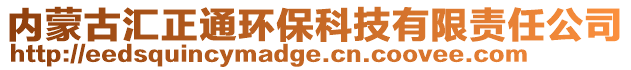 內蒙古匯正通環保科技有限責任公司
