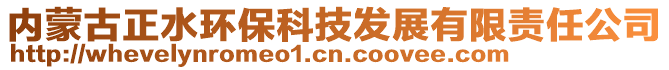 內(nèi)蒙古正水環(huán)保科技發(fā)展有限責(zé)任公司