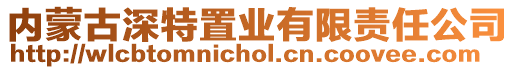內蒙古深特置業有限責任公司