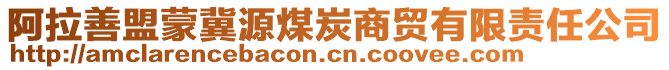 阿拉善盟蒙冀源煤炭商貿(mào)有限責(zé)任公司