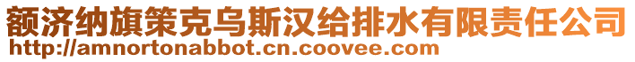 額濟納旗策克烏斯?jié)h給排水有限責任公司