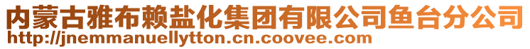 內(nèi)蒙古雅布賴鹽化集團(tuán)有限公司魚臺(tái)分公司