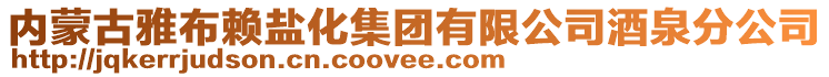 内蒙古雅布赖盐化集团有限公司酒泉分公司